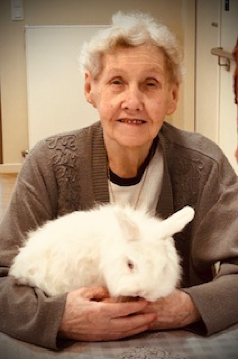 actualité EHPAD SEDNA