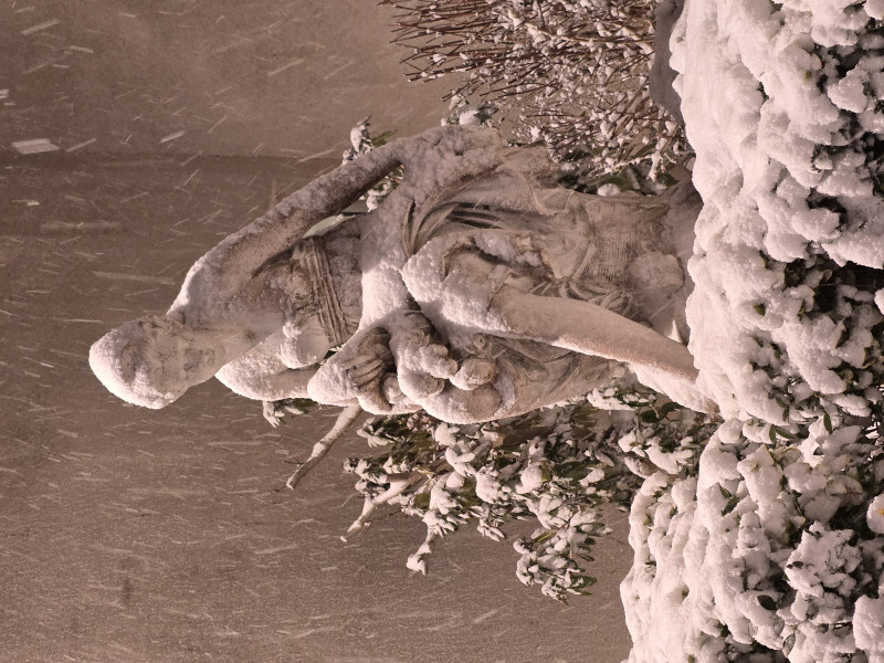 actualité EHPAD SEDNA